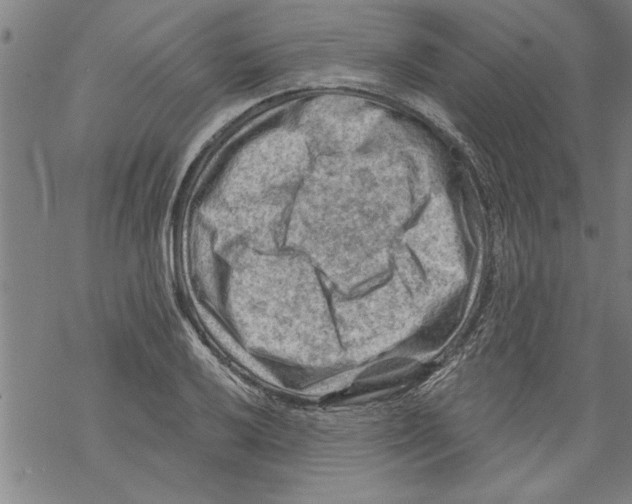 X0000067511032200605051824