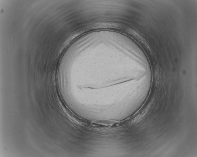 X0000067511033200605051824