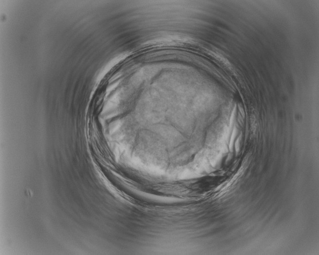 X0000067511034200605051824