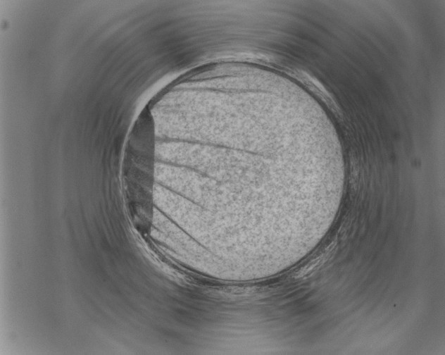 X0000067511036200605051824