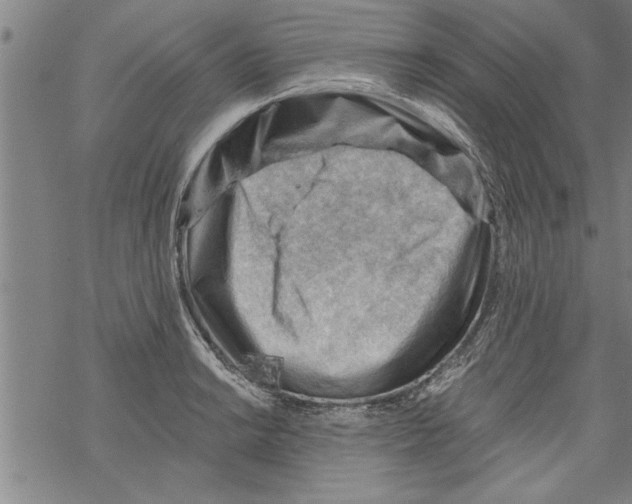 X0000067511038200605051824