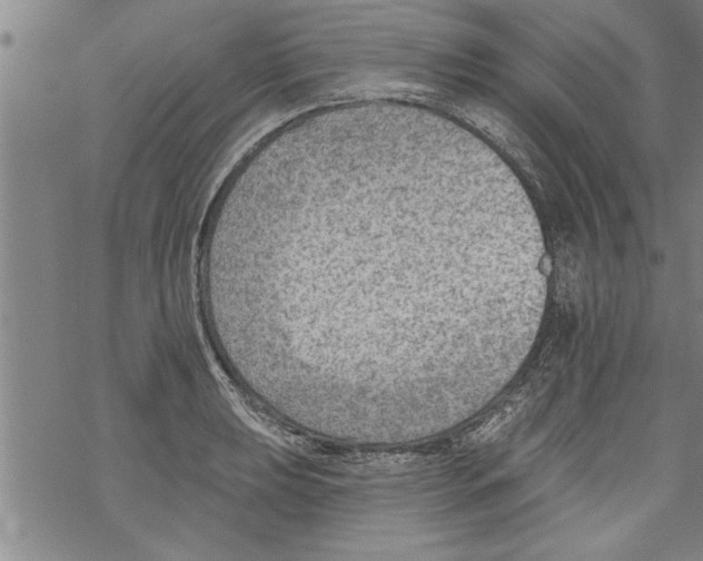 X0000067511039200605051824