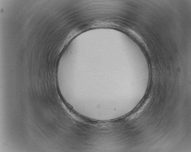 X0000067511041200605051824