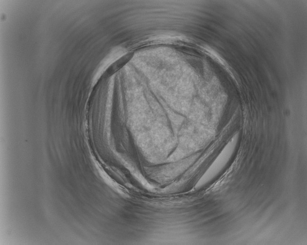 X0000067511042200605051824