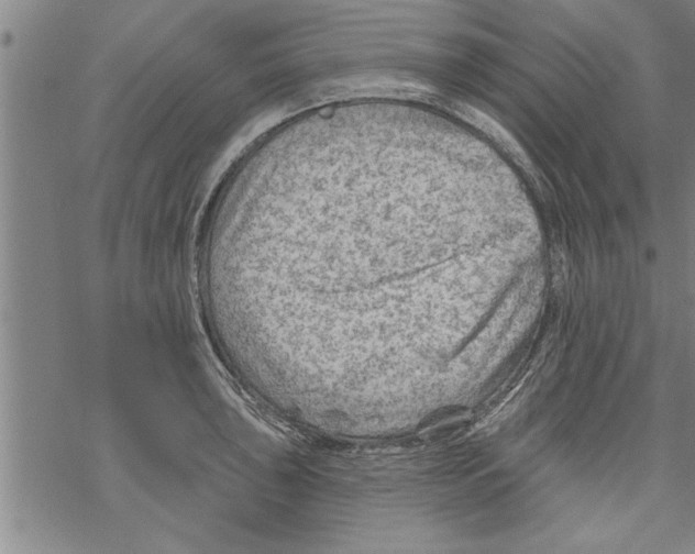 X0000067511043200605051824