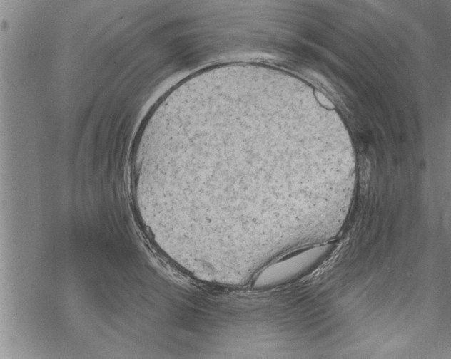 X0000067511044200605051824