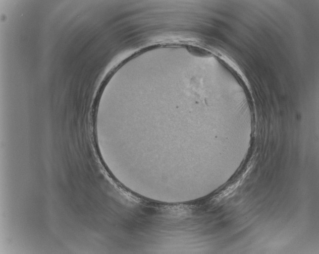 X0000067511045200605051824