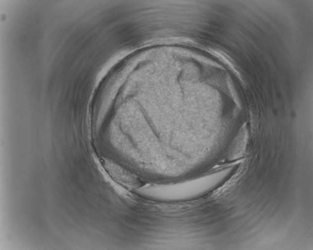 X0000067511046200605051824