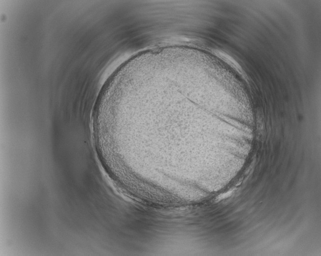 X0000067511047200605051824