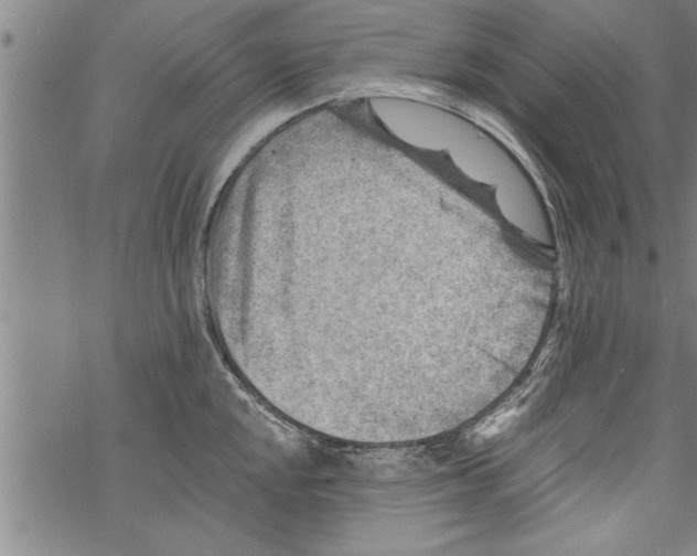 X0000067511048200605051824