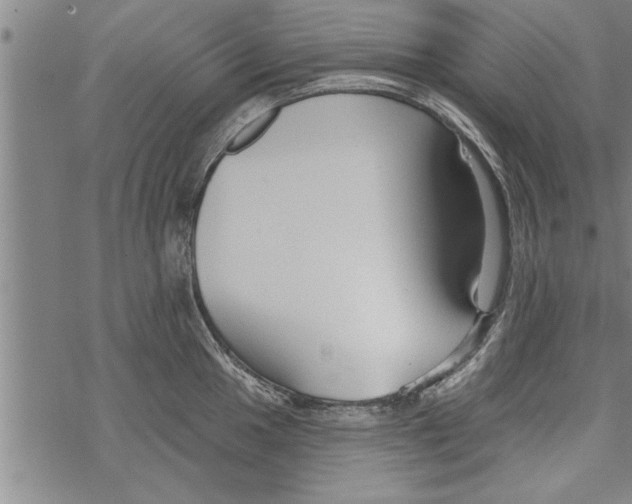 X0000067511049200605051824