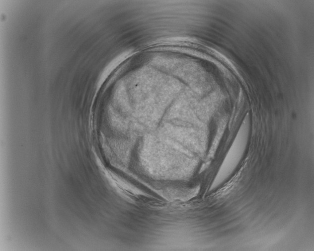 X0000067511050200605051824