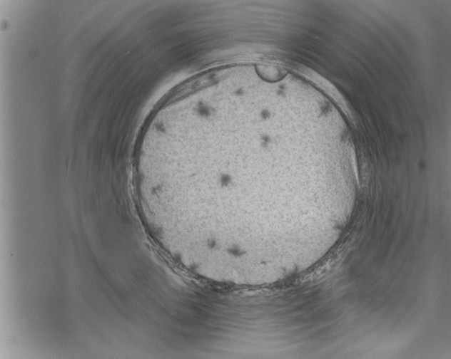 X0000067511051200605051824