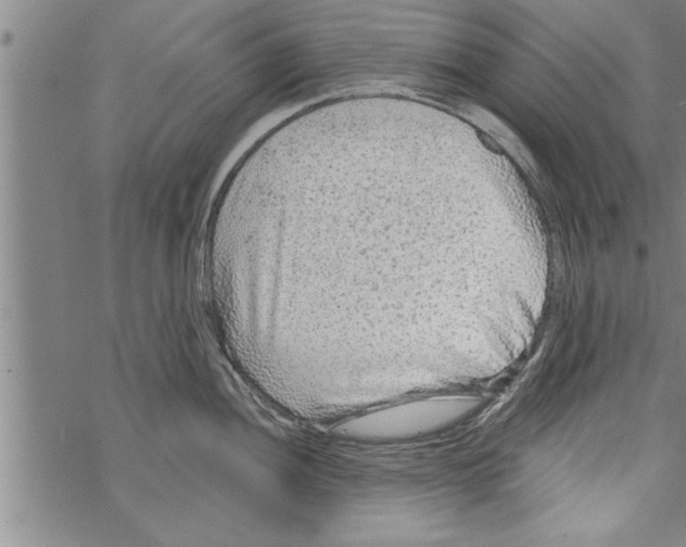 X0000067511052200605051824