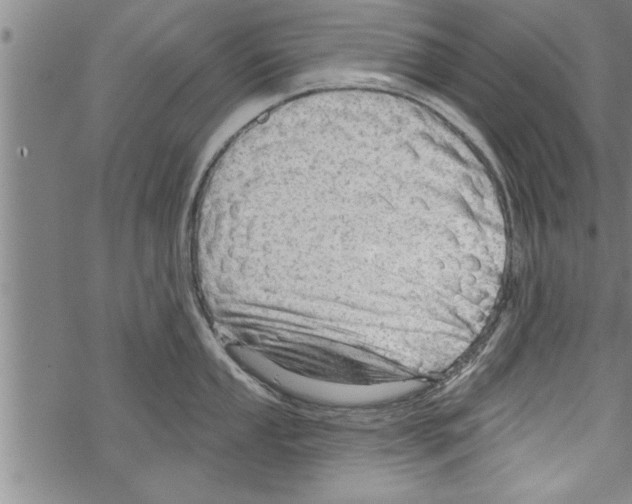 X0000067511053200605051824