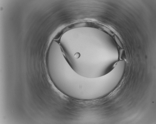 X0000067511054200605051824