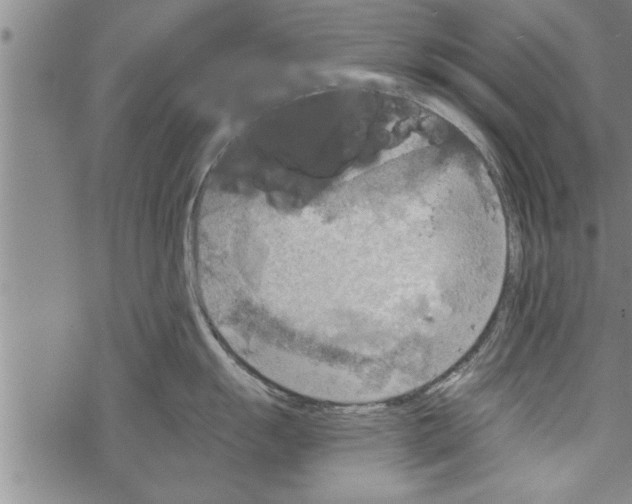 X0000067511055200605051824