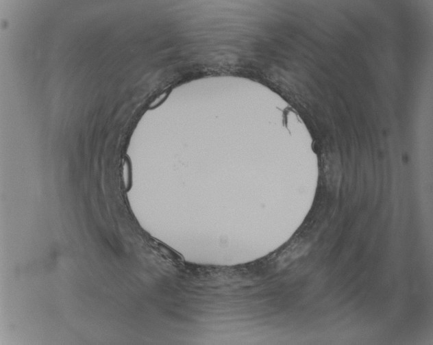 X0000067511057200605051823