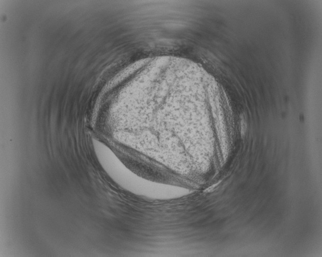 X0000067511059200605051823