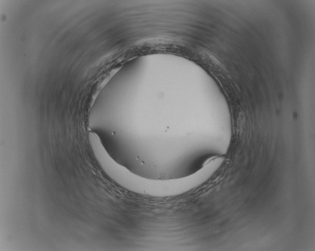 X0000067511062200605051823