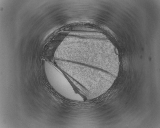 X0000067511064200605051823