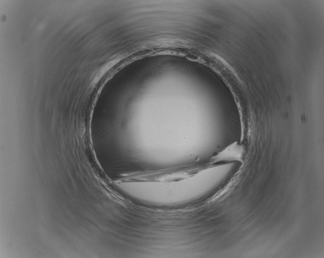 X0000067511065200605051823