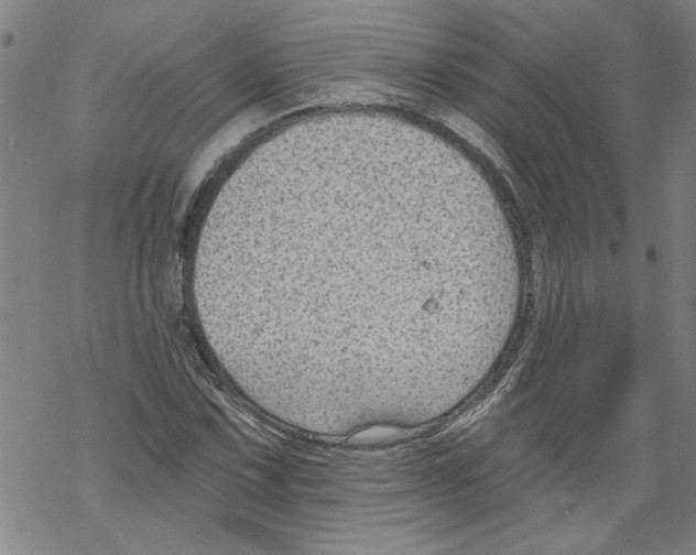 X0000067511067200605051823