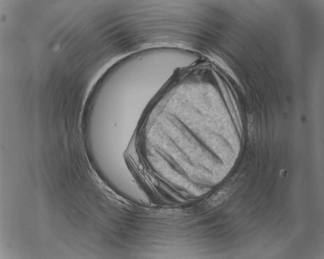 X0000067511068200605051823