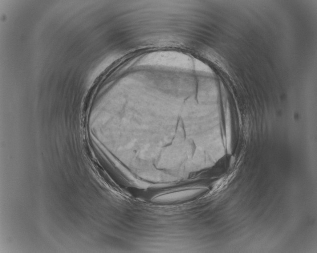 X0000067511071200605051823