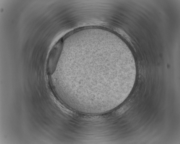 X0000067511072200605051823