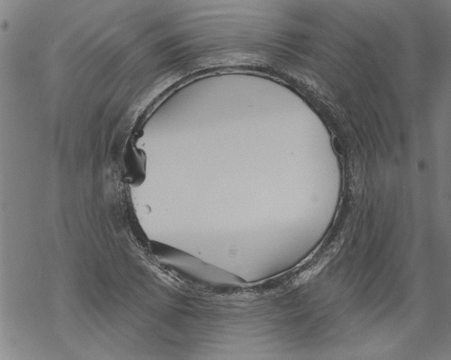 X0000067511073200605051823