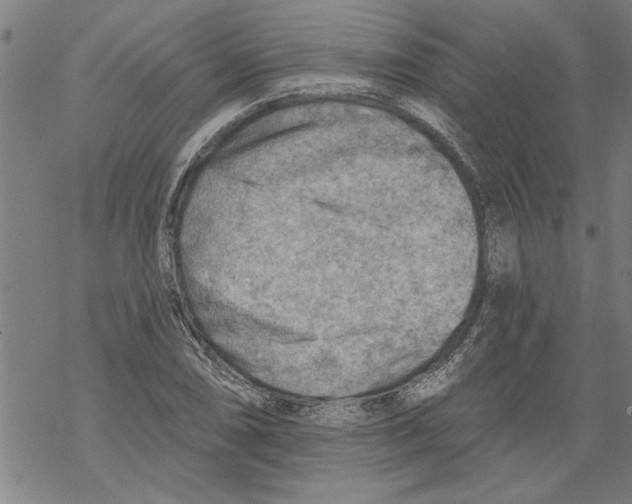 X0000067511074200605051823