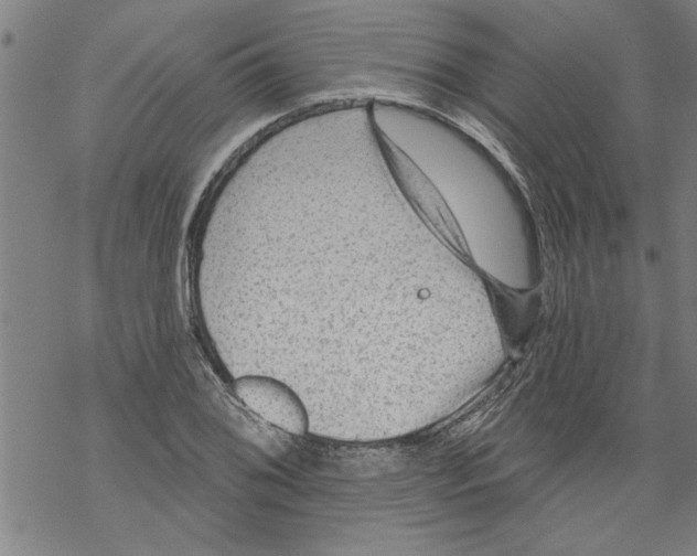 X0000067511076200605051823