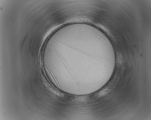 X0000067511078200605051823