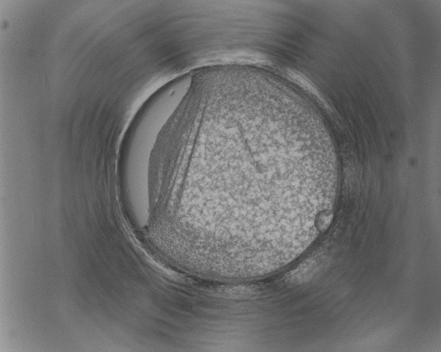 X0000067511079200605051823