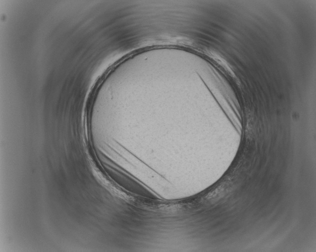 X0000067511080200605051823