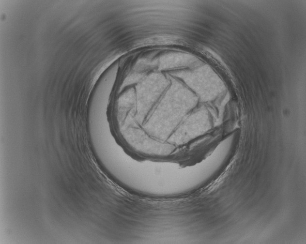 X0000067511081200605051823