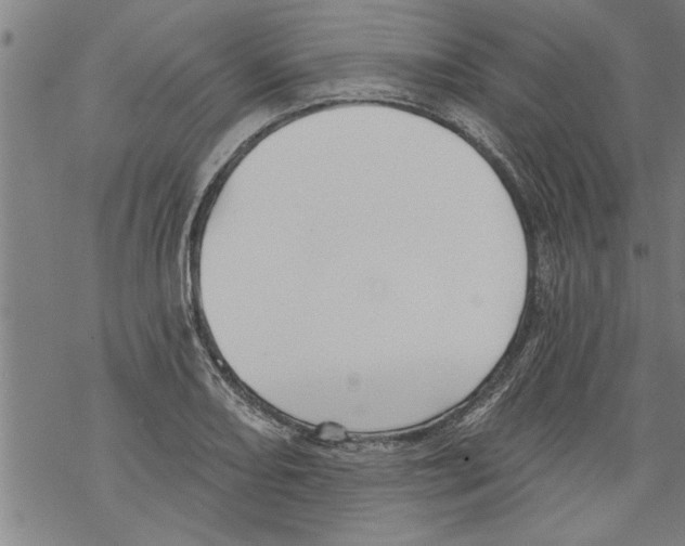 X0000067511082200605051823