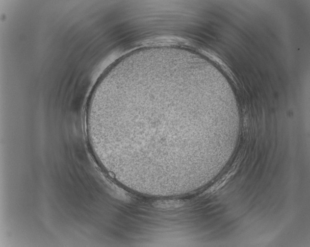 X0000067511083200605051823