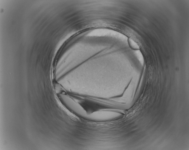 X0000067511084200605051823