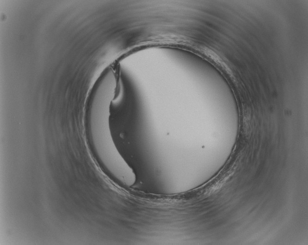 X0000067511085200605051823