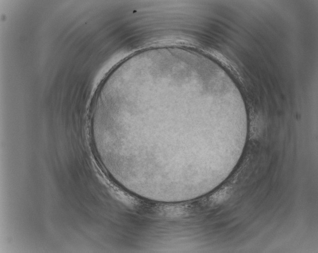 X0000067511086200605051823