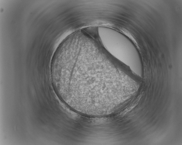 X0000067511087200605051823