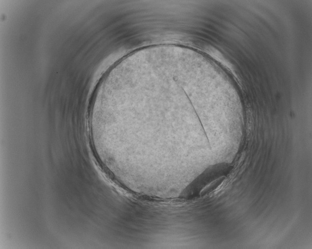 X0000067511088200605051823