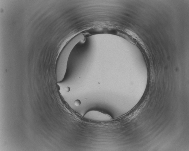 X0000067511089200605051823