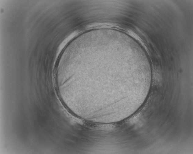 X0000067511090200605051823