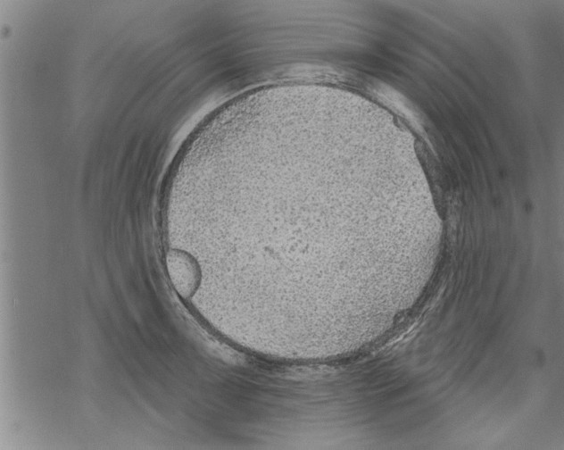 X0000067511091200605051823