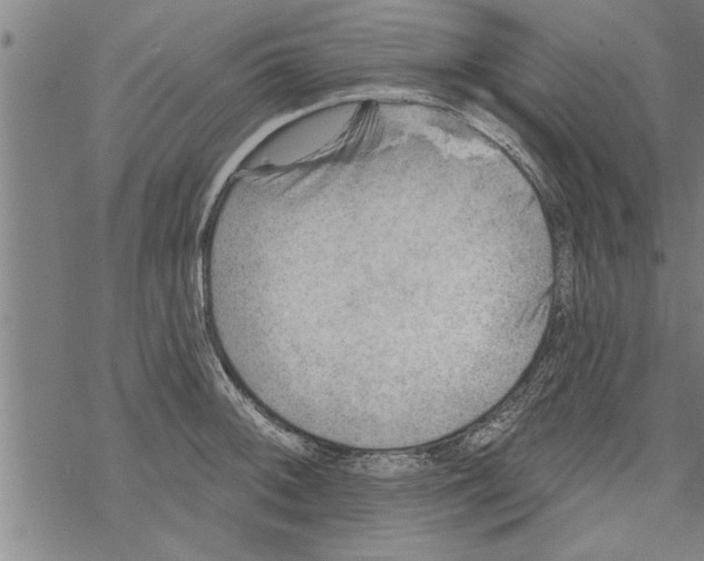 X0000067511092200605051823