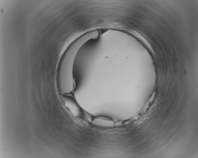 X0000067511093200605051823