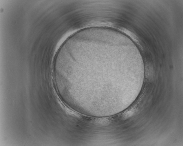 X0000067511094200605051823